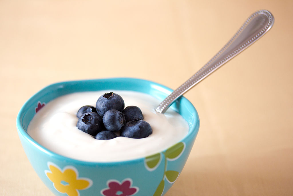 Activia Probiotic Yogurt Review